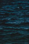 海边