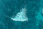 海边