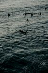冲浪