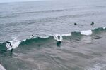 冲浪