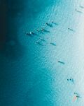 冲浪