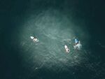 冲浪
