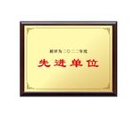 铜牌奖牌