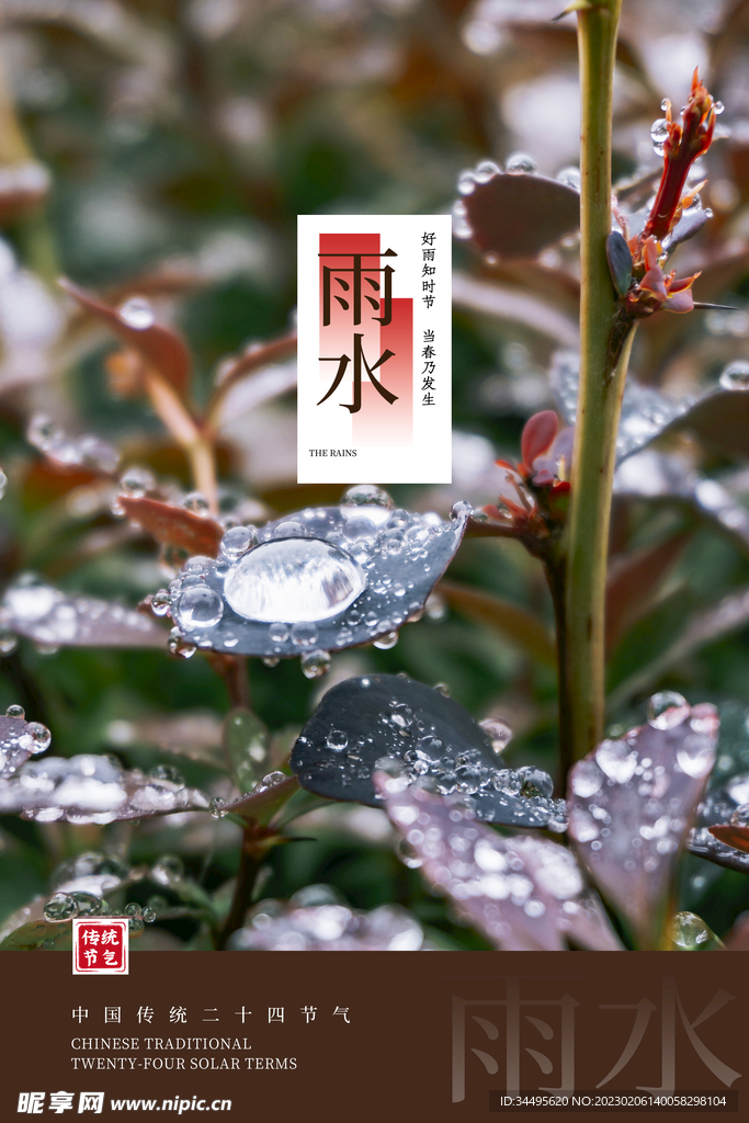 雨水贴片