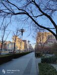 城市街景