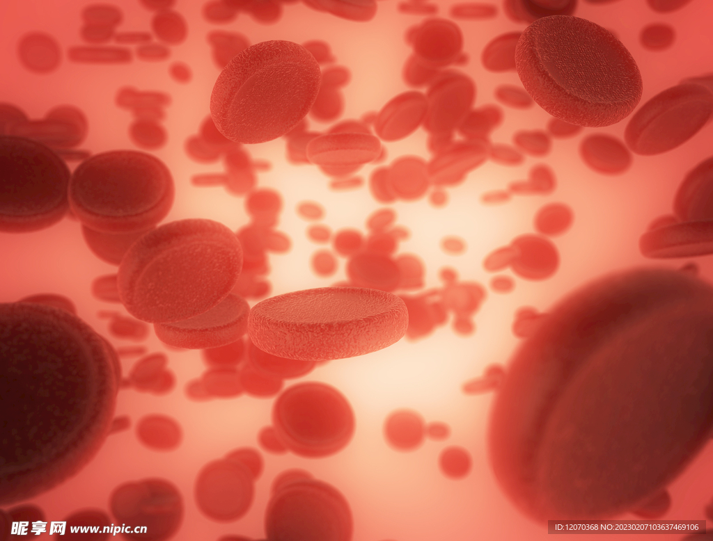 医疗血液红血球