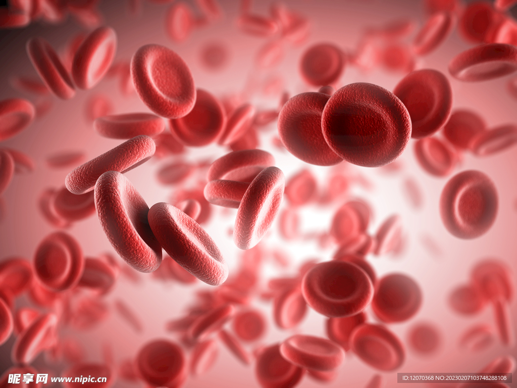 血液红血球