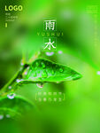 节气雨水
