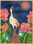 古典荷花花卉插画       