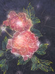 古典花卉插画牡丹