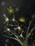 古典花卉插画夜光