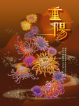 古典花卉插画菊花