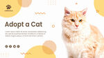 猫咪海报