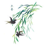  柳树燕子 