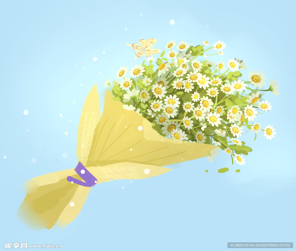  车菊 