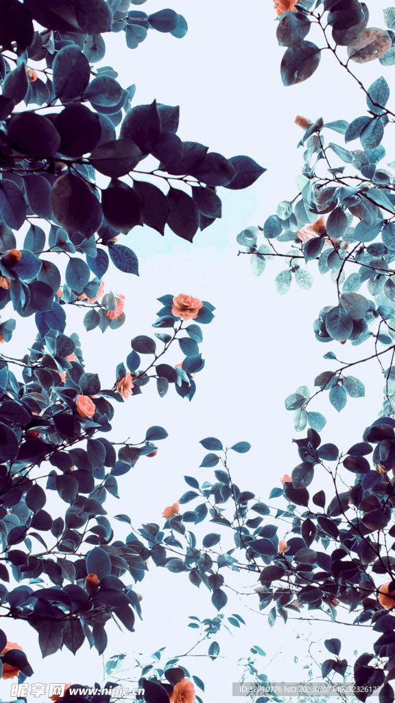 花