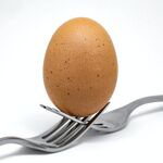 鸡蛋