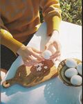 鸡蛋