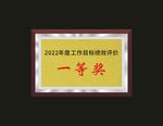 荣誉奖牌