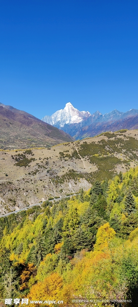 折多山观景台蓝天白云高原雪山草