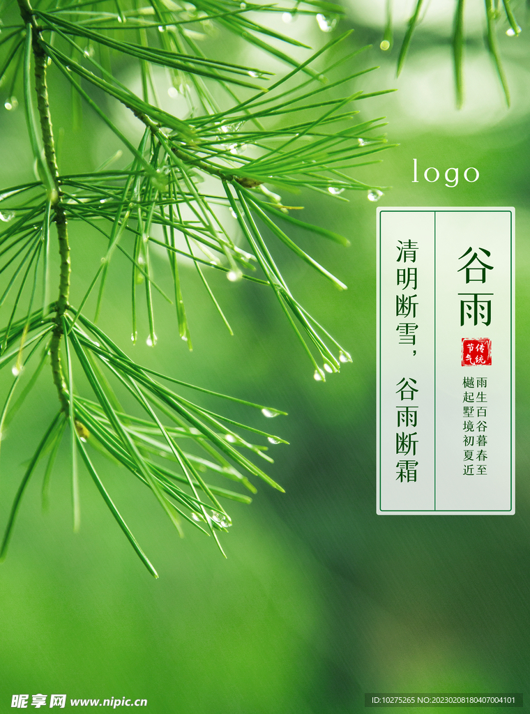 谷雨节气海报 