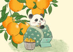 国宝橙子