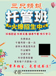 托管传单