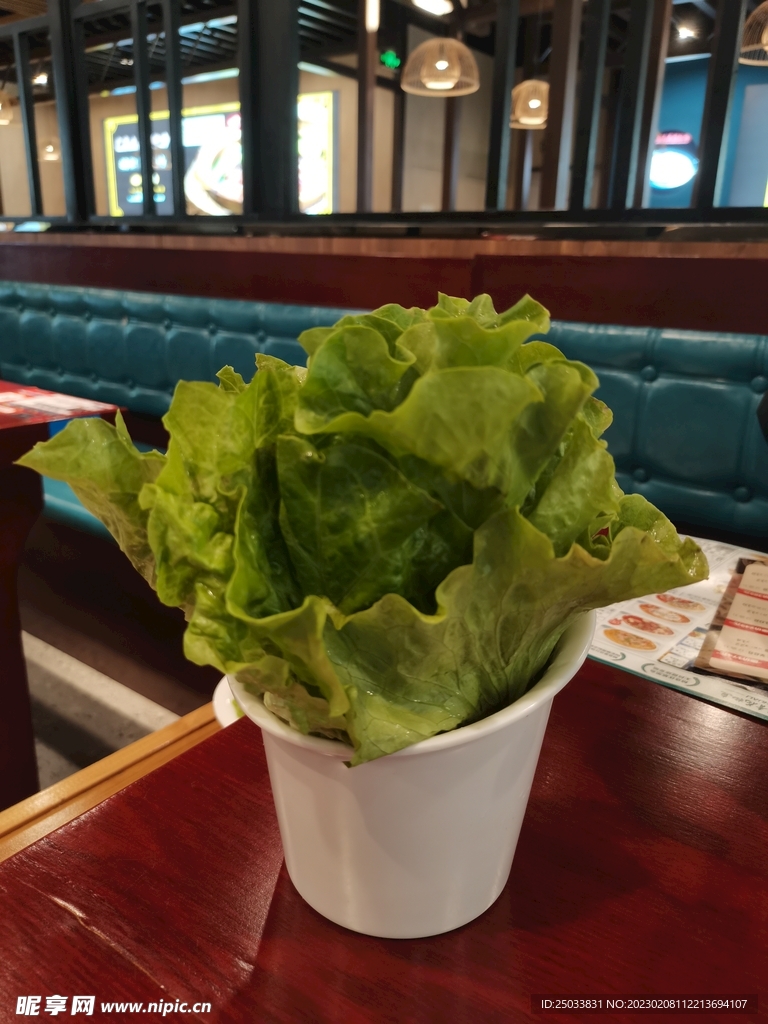 生菜