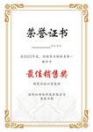 荣誉证书 最佳销售奖