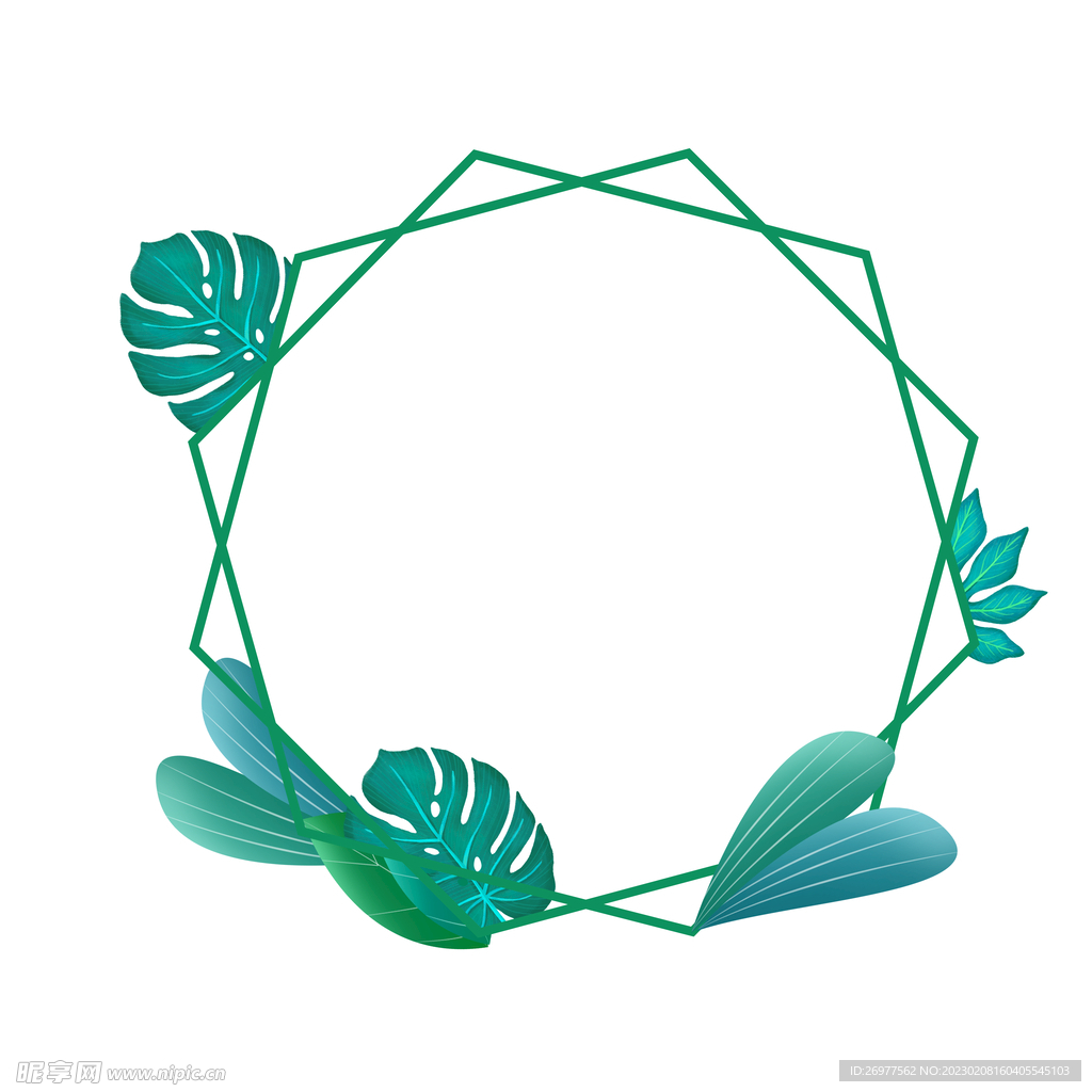  植物边框