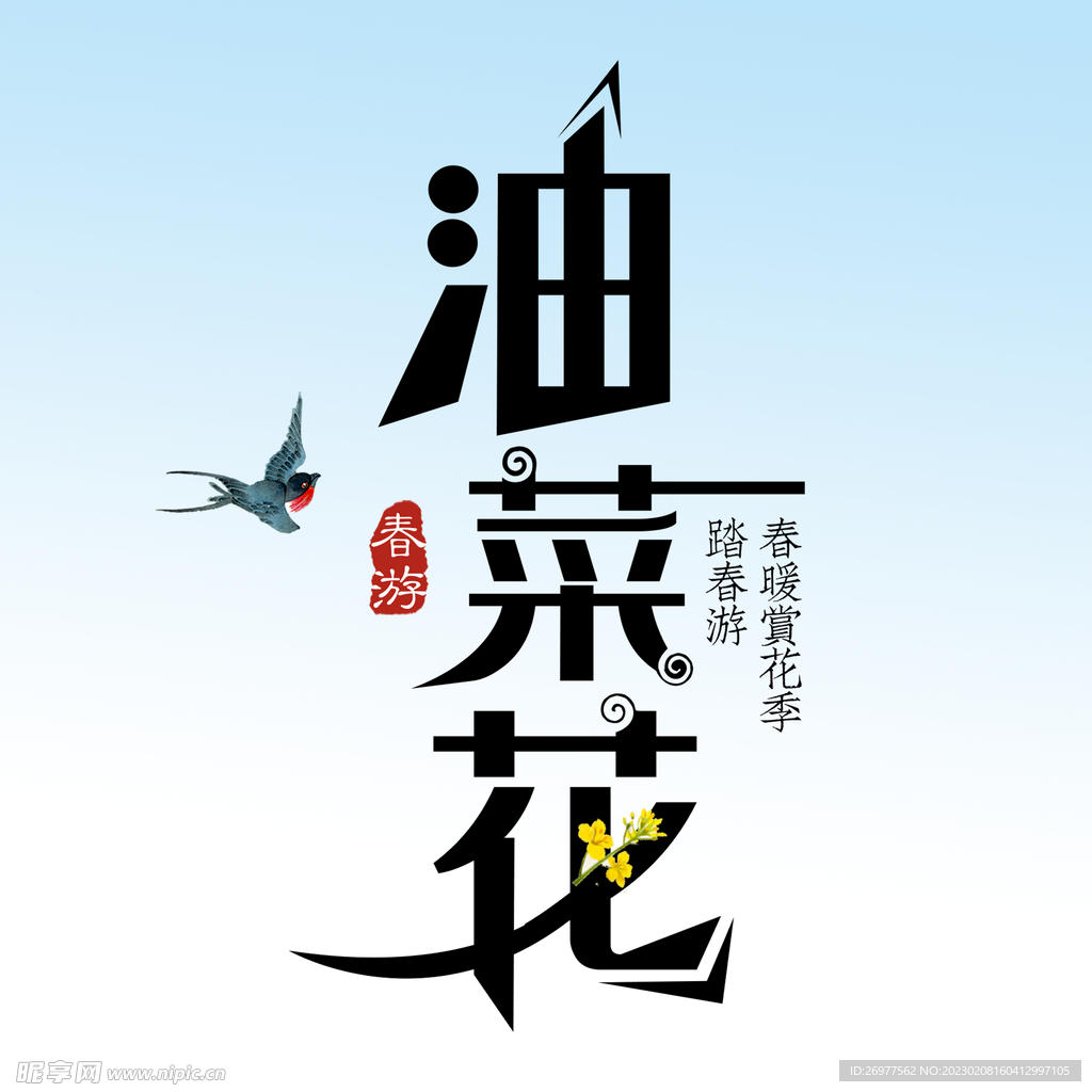  油菜花