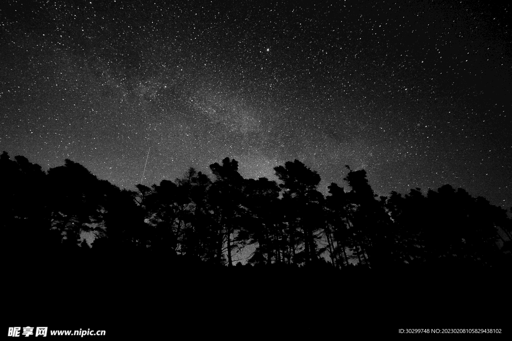 高清黑色背景森林星空