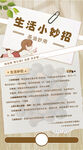 山茶油