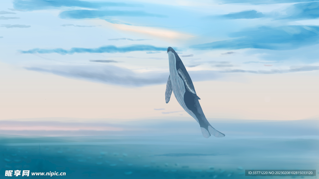 海豚