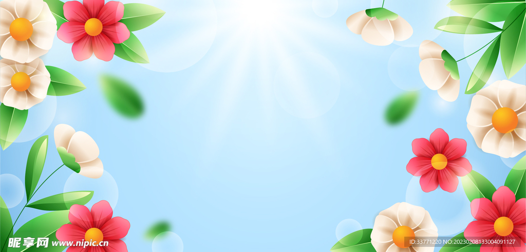 阳光花卉背景