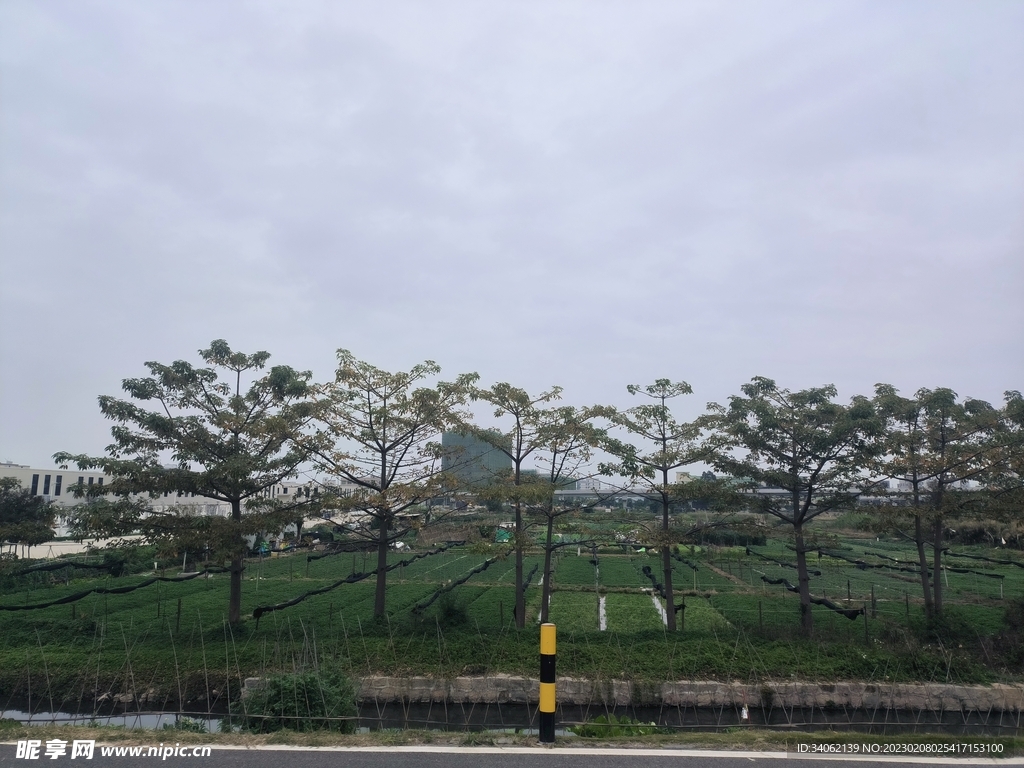 风景