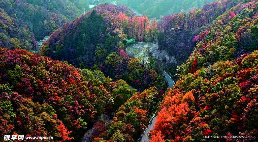 老界岭风景