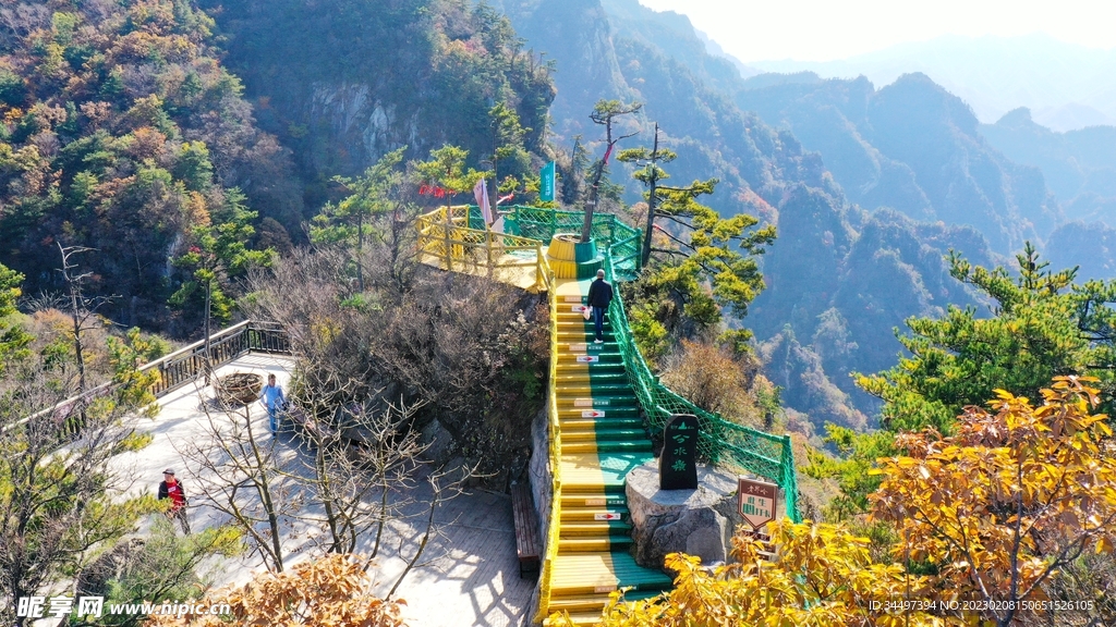 老界岭风景