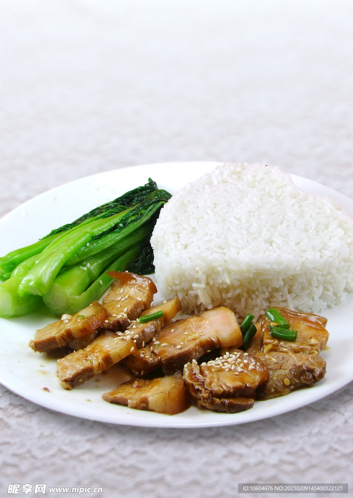 卤肉饭