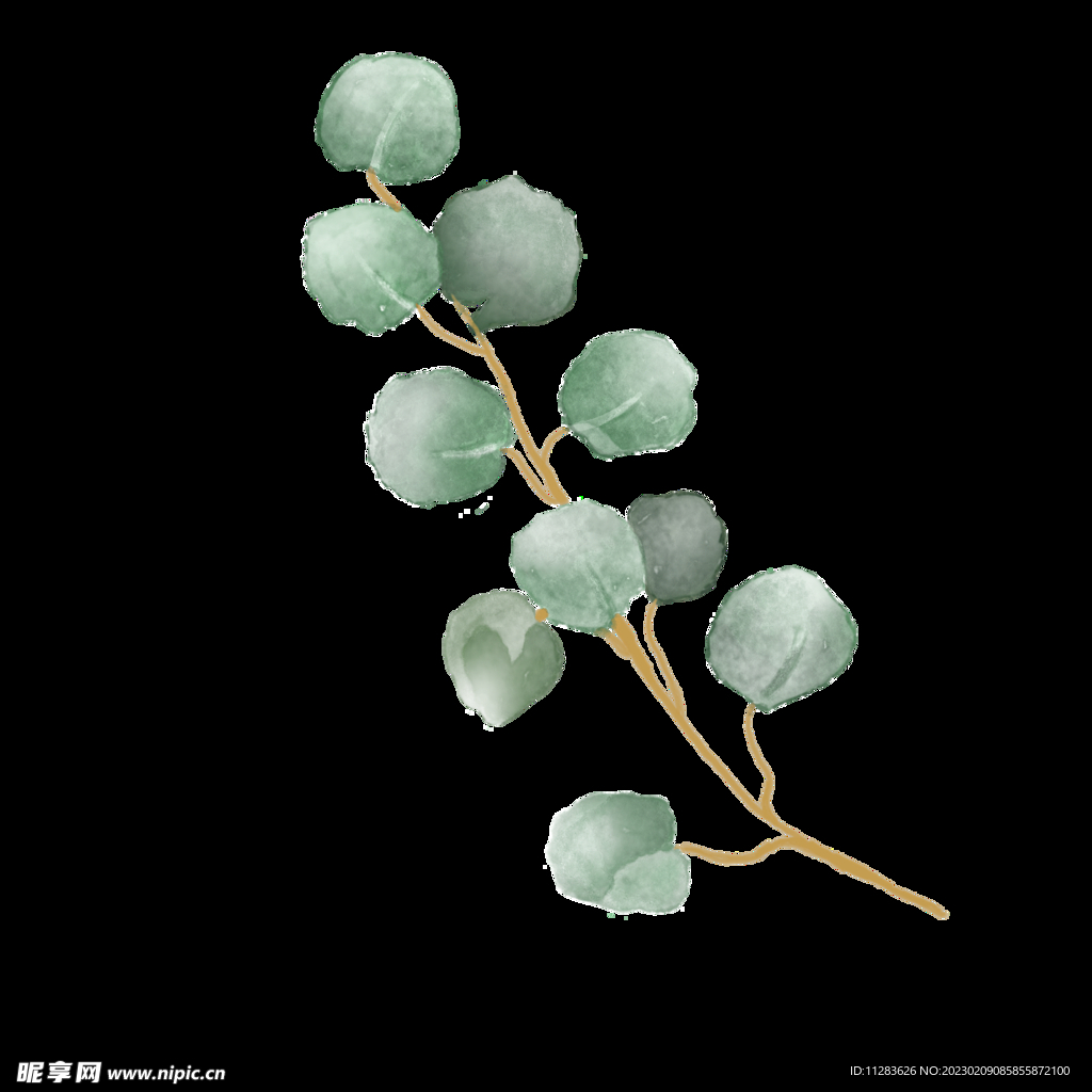 水彩植物