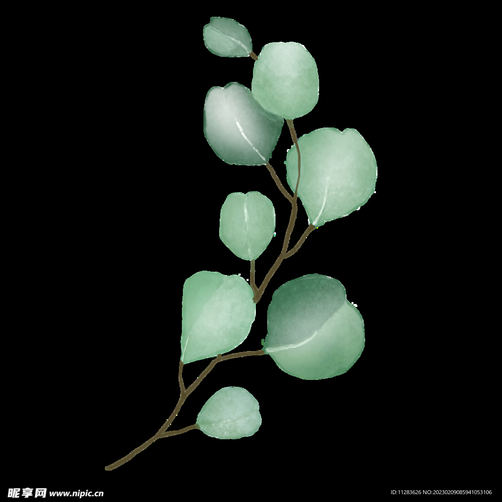 水彩植物