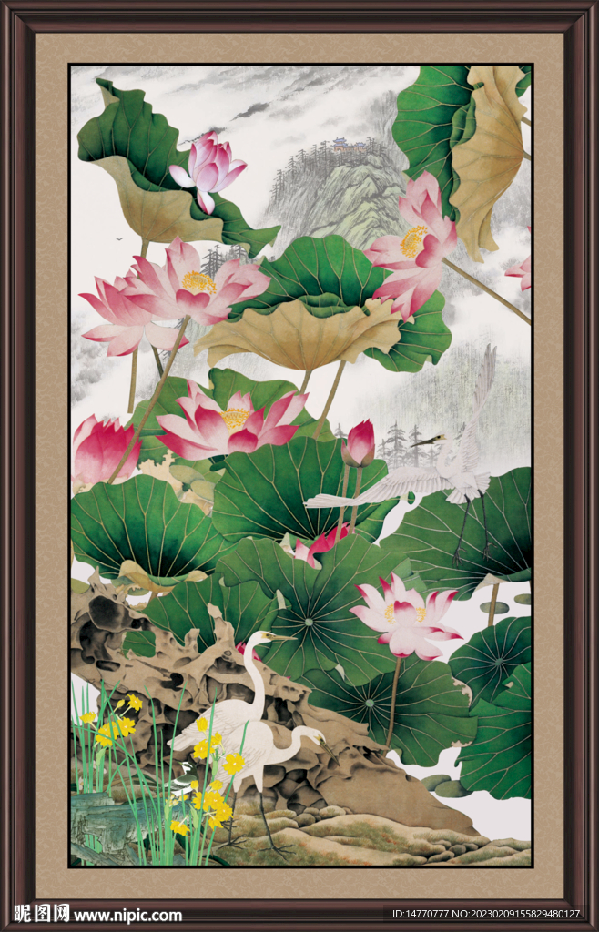 荷花