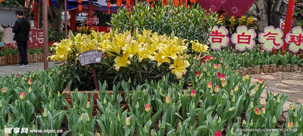 花
