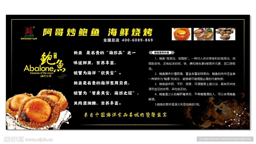 鲍鱼简介
