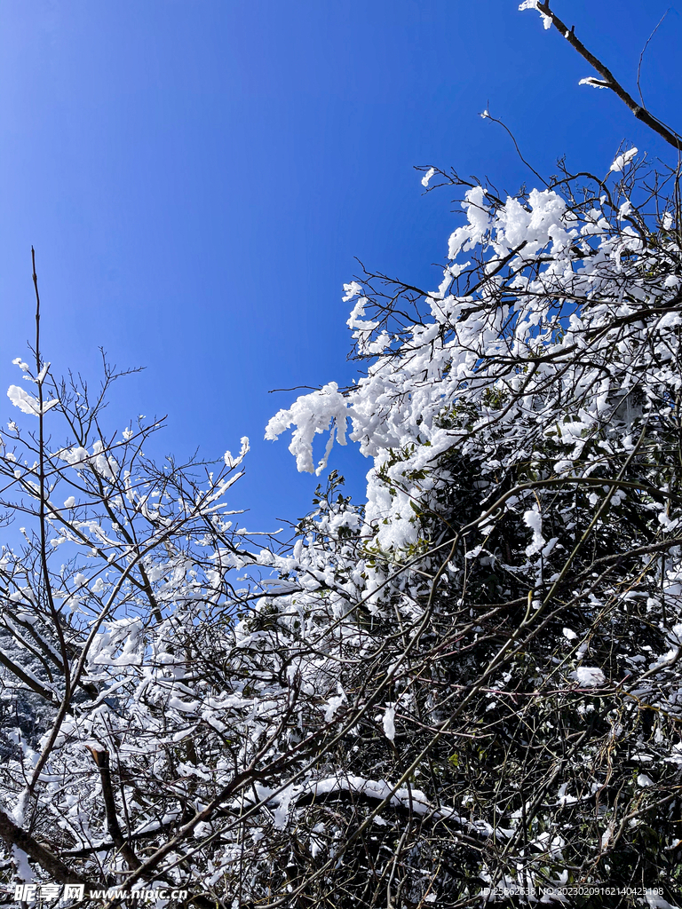 雪山 