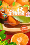 砂糖桔海报