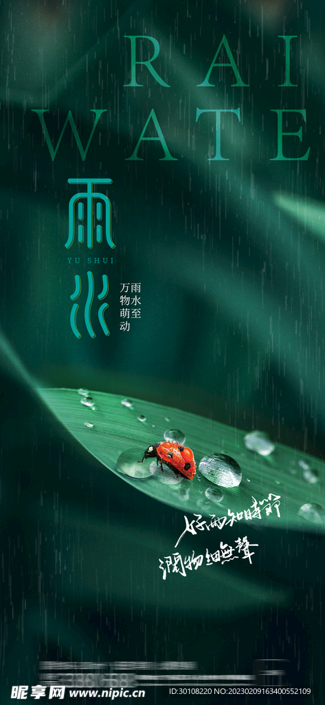 雨水节气海报