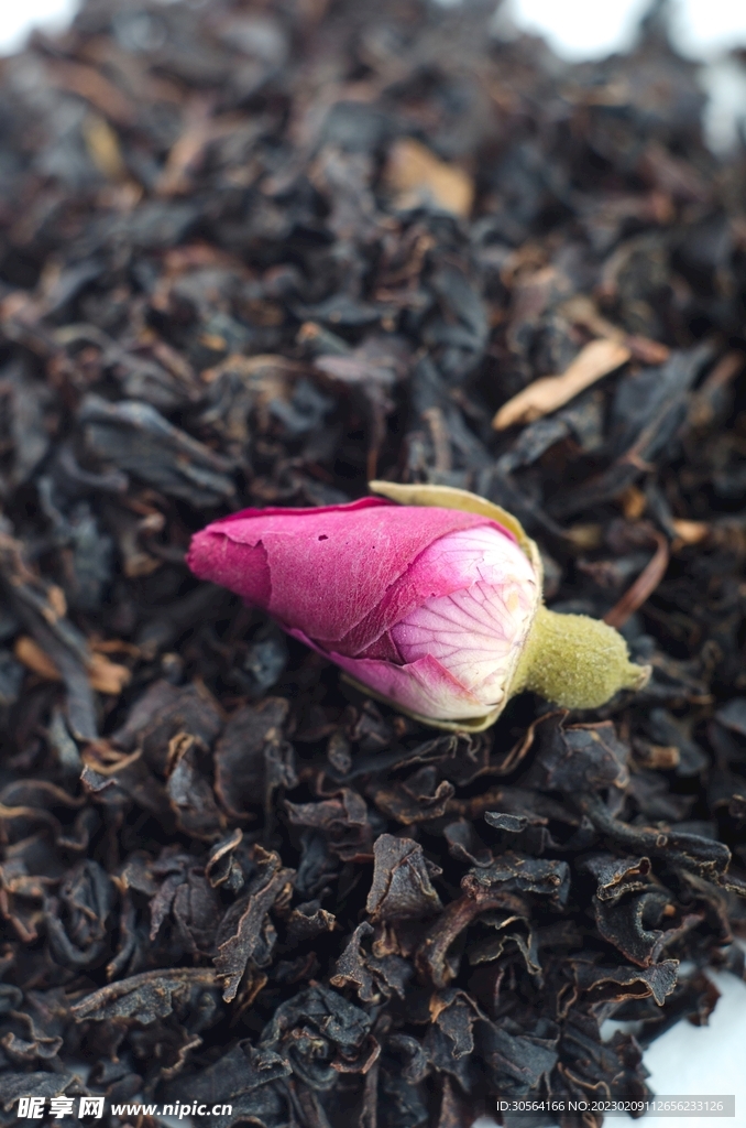 茶叶花茶