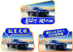 秦PLUS dmi冠军版手举牌