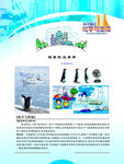 化学知识展板